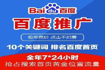 百度SEO优化公司案例：打造品牌网络曝光新高度
